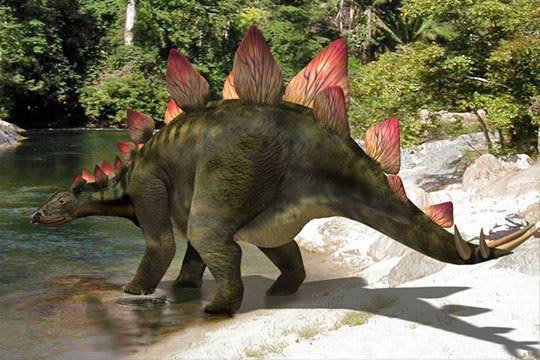 Stgosaure Stegosaurus-1