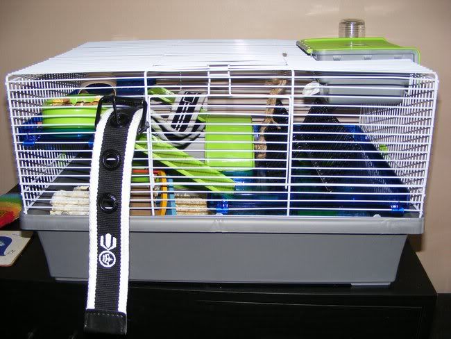 Knowing what size cage to get - show us your cage pics! Keshi