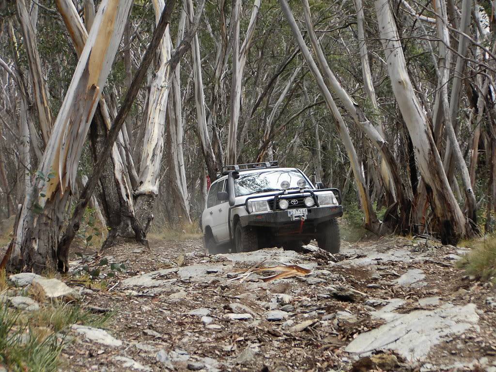 4wd'ing trip PIC02297