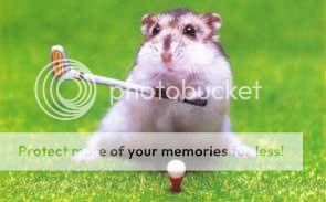 hamsteri Hamster_golf