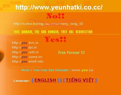 Hướng dẫn đăng kí tên miền http://www.4vn.in 1