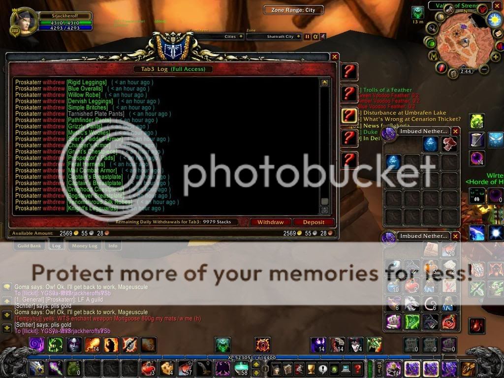 Guild Bank Hacker WoW2008-09-2014-45-07-78