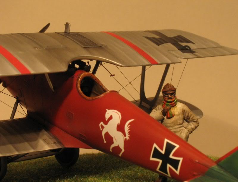 Pfalz DIII eduard 1/48 PfalzdIII04-1