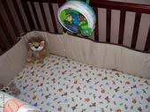 The Nursery Insidecrib