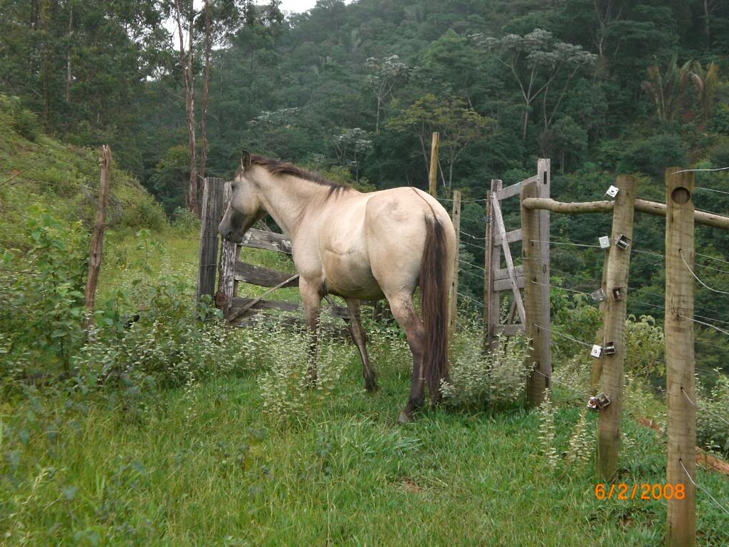 Pra quem curte fotografia CIMG2263