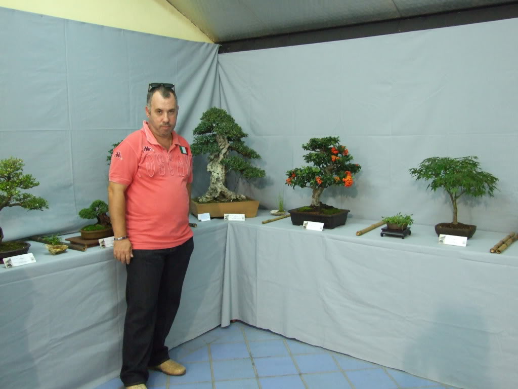 Exposición Bonsai Club Bonsai De Vigo  10 y 11 septiembre 2011. DSCF4039