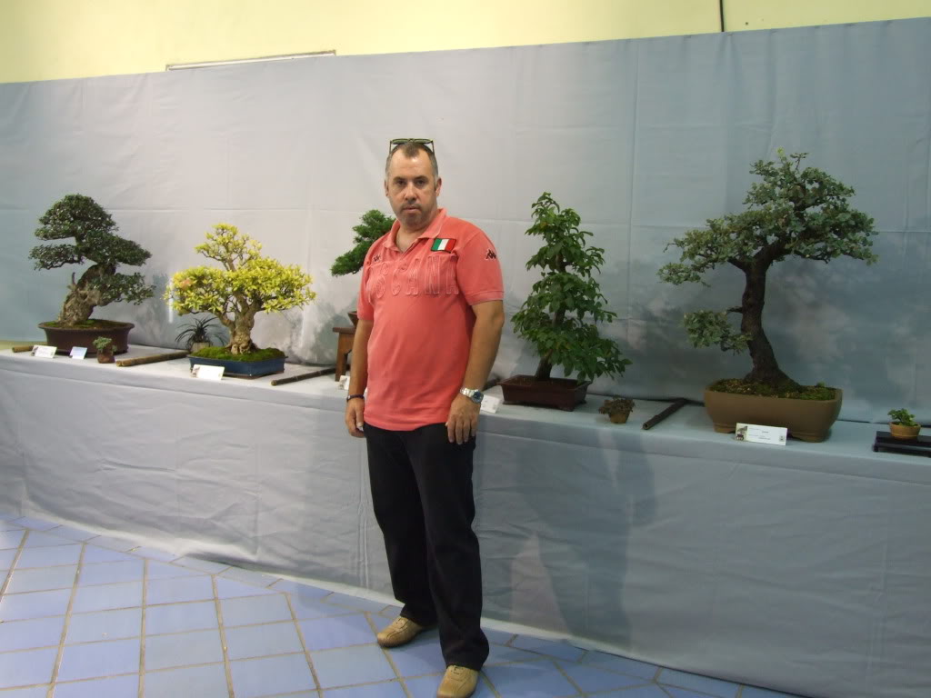 Exposición Club Bonsai Vigo dias 10 y 11 de Septie DSCF4041