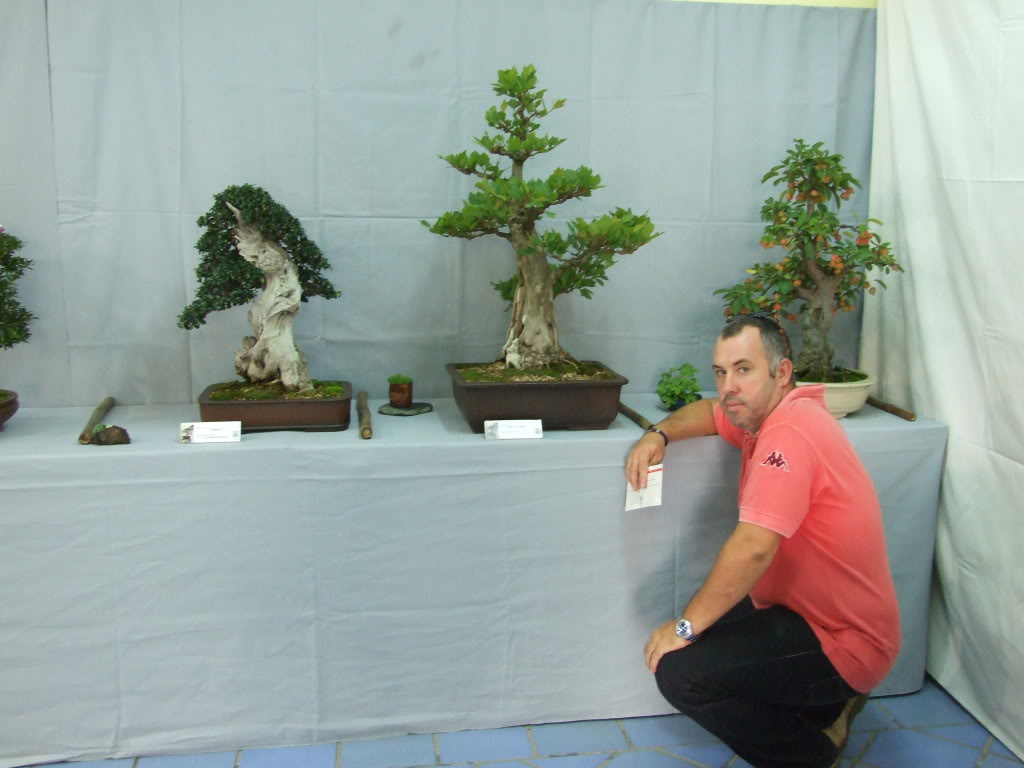 Exposición Club Bonsai Vigo dias 10 y 11 de Septie DSCF4062