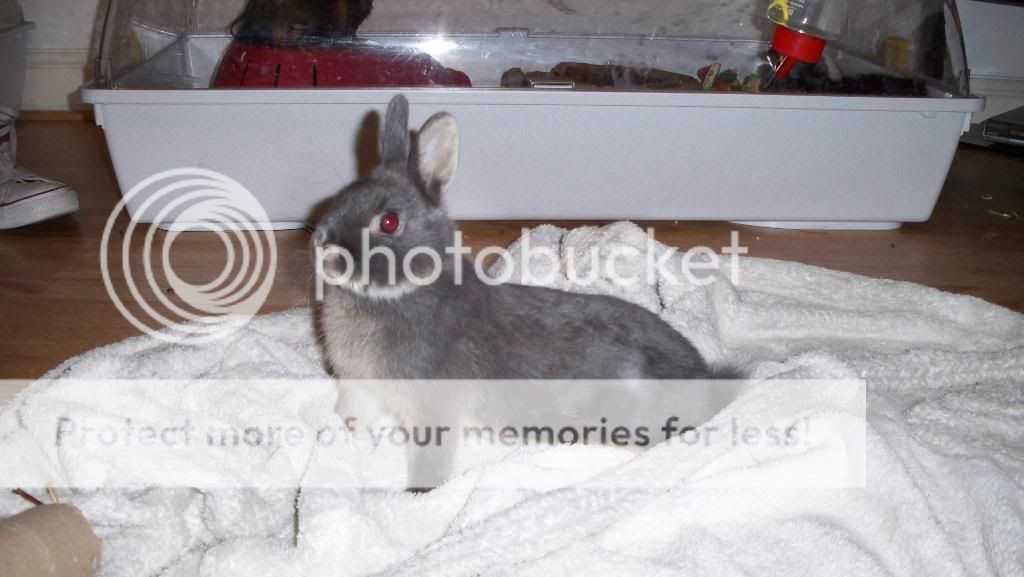 More of my Buns 100_0142