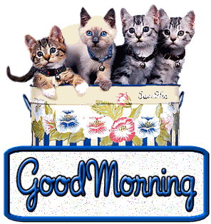 Cazzeggio!!! - Pagina 26 Good-morning-kittens-ag1