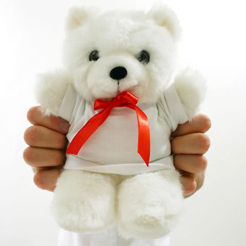 **+++** TEDDY SHOP - NEW TEDDY **+++** WHITETEDDYBEAR