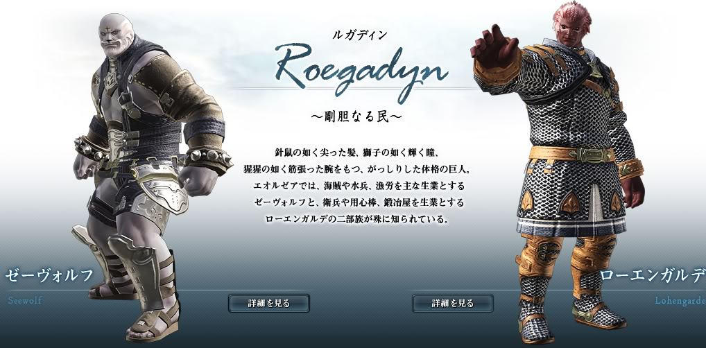 Clans/Tribes Race Infomation Updates from Famitsu(updated) Roegadyn