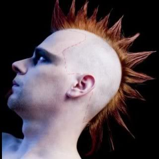 Sean O'Neill Punk_hairstyle2