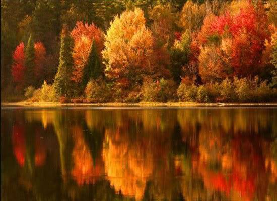The Beauty of Fall Arkansasfall