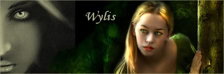 Fan art Wylis-1