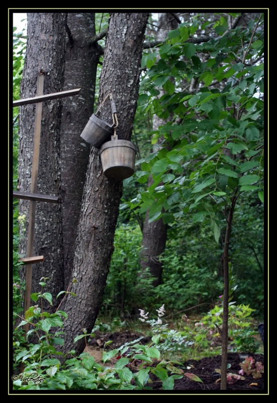  - Petits nouveaux au jardin: déco. DecoJardin090723_0064RM