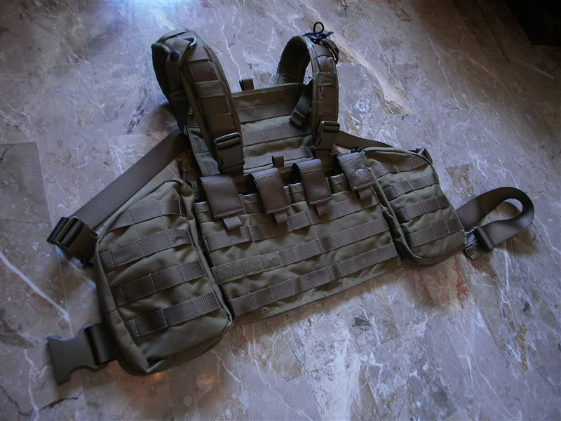 [Buffetteria tedesca] Chest Rig Tasmanian Tiger MKII P5070014