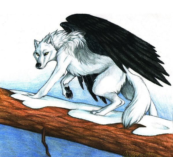 Vitani~A magical winged wolf WingedWolf