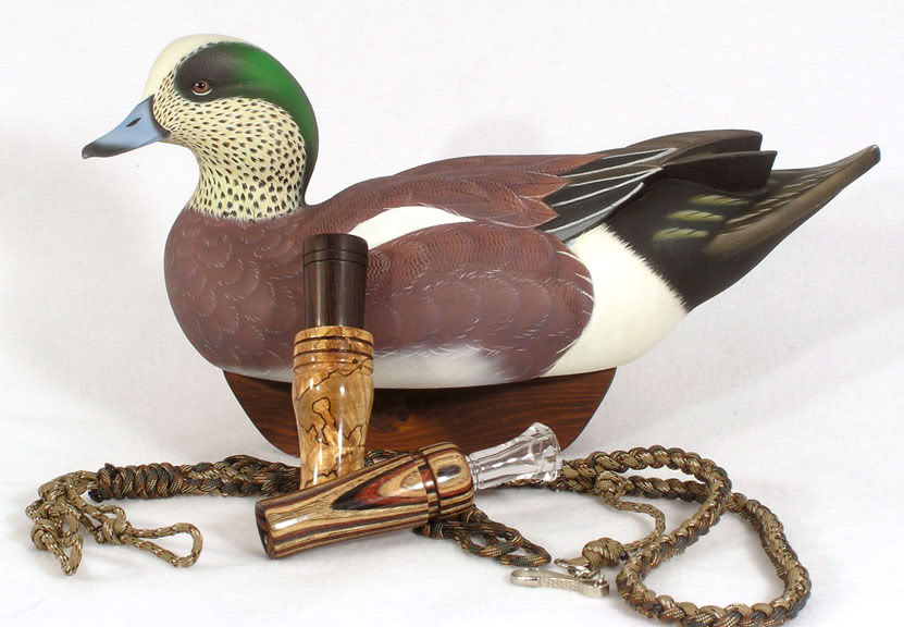 Pour le plaisir des yeux... AmericanWidgeon06003