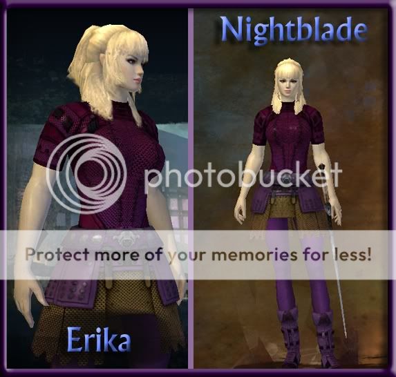 GW2 Character Biography Contest! ErikaNightblade