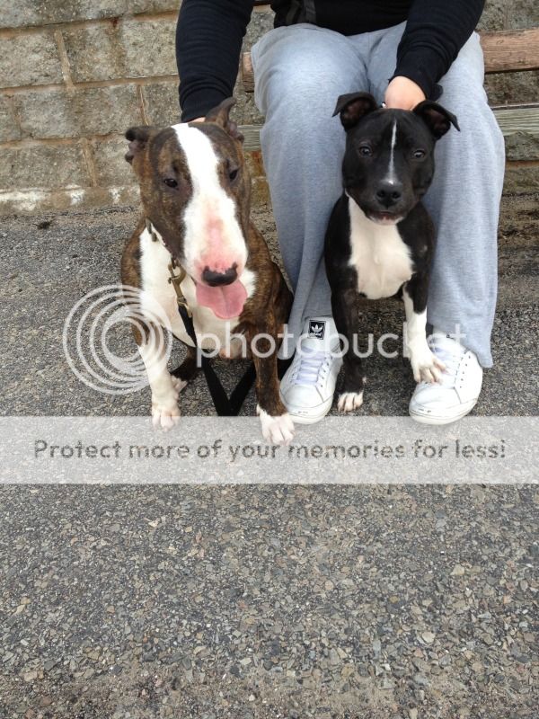 Bruno and Ralph Photo-4