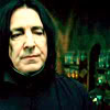 Magasins Snape15