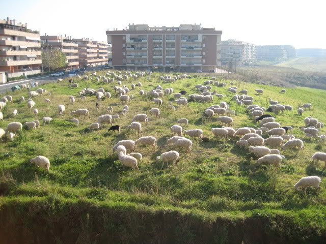 Oggi mi sento un po' Heidi Heidi