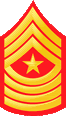 USMC Ranks SgtMaj