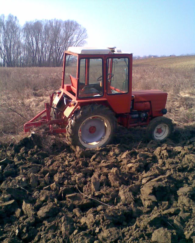 ORANJE Slika008