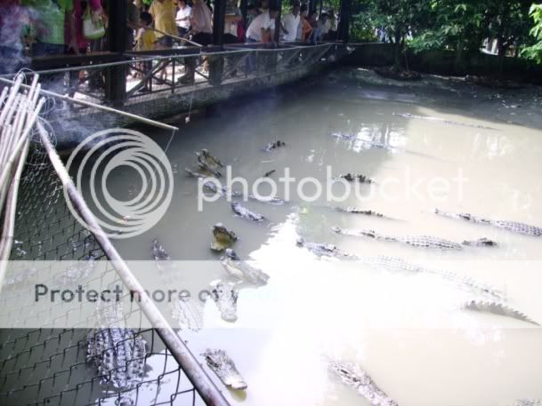 Chúc mừng ngày LỄ, Giáng sinh và Năm Mới! Recaucasau2