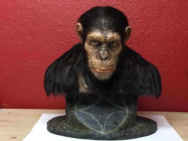 Planet of the Apes : Ceasar Life Size Bust - Page 2 0678C5CF-4008-4357-A0AC-51827E545CD3_zps6waoebuv