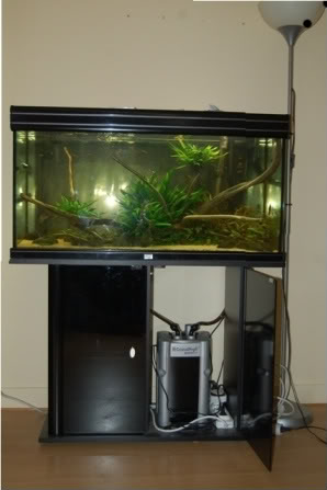 [Vends] Aquarium aquadisio dayak lux laqué noir de 180L [78] DSC_1005-2