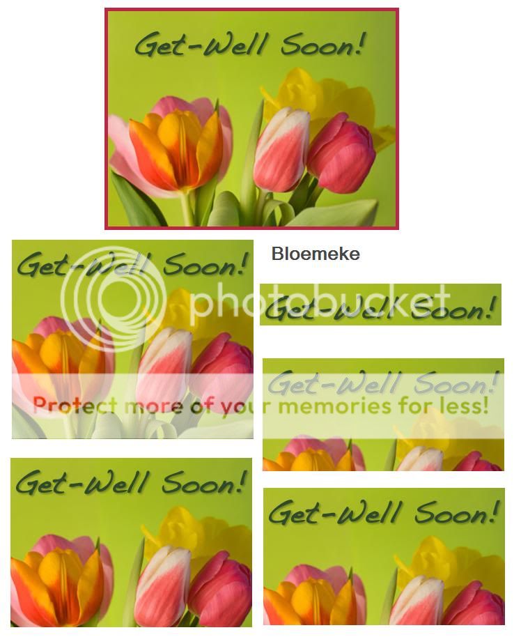 3D beterschap knipvellen Flowers_green_lg