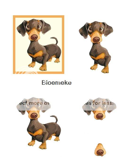 3D dieren knipvellen Hond205