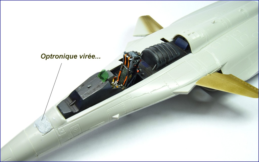 Dassault Rafale 1/48 _DSC0125