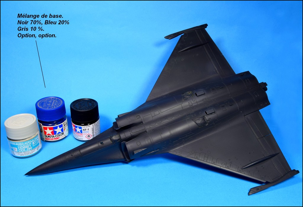 Dassault Rafale 1/48 _DSC0224