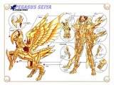 Esquemas de las armaduras a color Th_esquema_seiya_divina