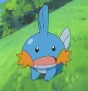 Pune o poza cu urmatorul pokemon Mudkip_is_astounded