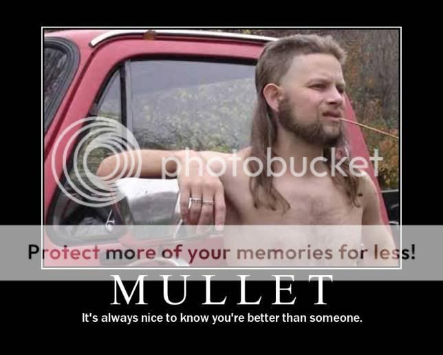 Demotivators Mullet