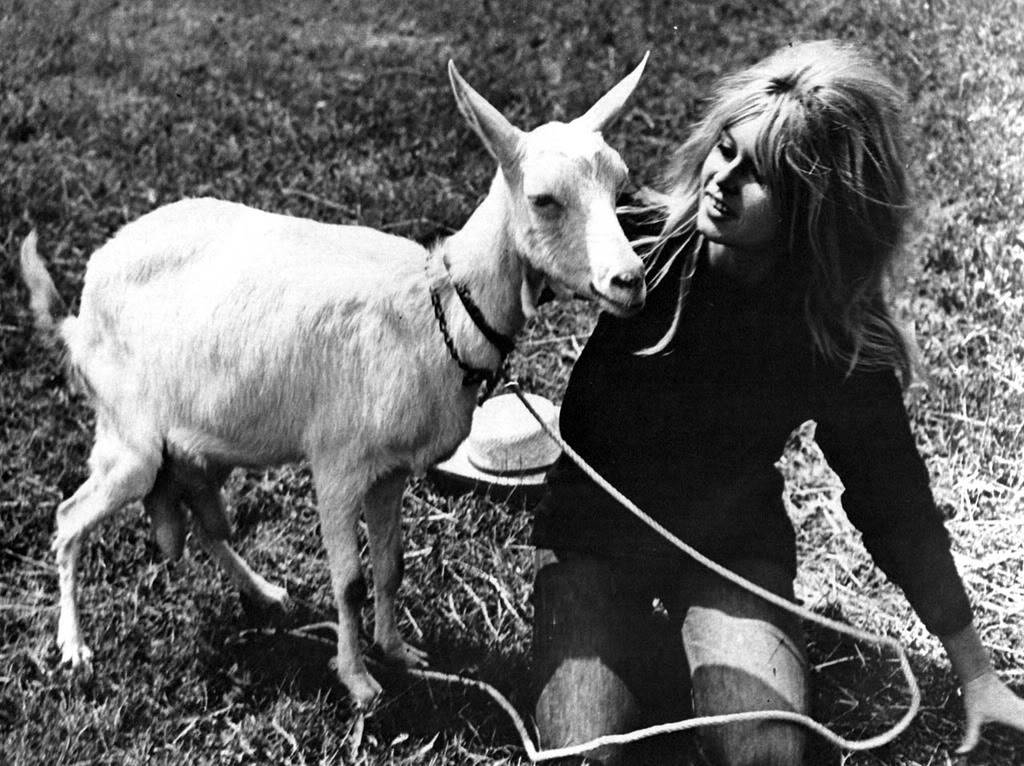 BB et les animaux - Page 2 Brigitte-bardot-1975-05