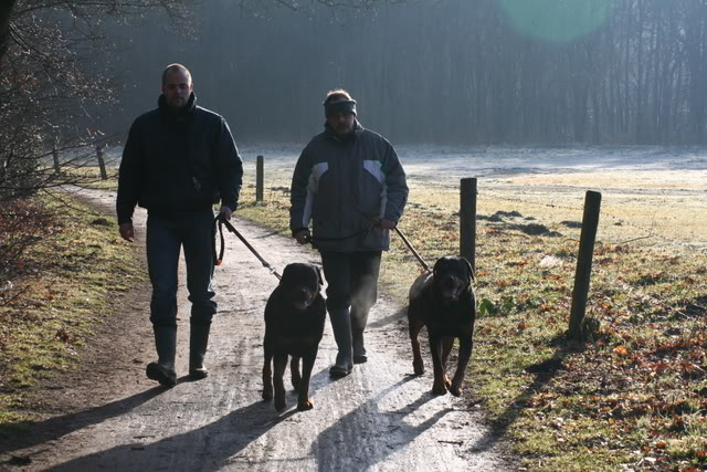 Hoera, we hebben weer gewandeld op het Hulsbeek Afbeelding023-12