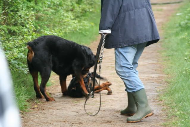 Het Hulsbeek 17-05-2009 Afbeelding027-11