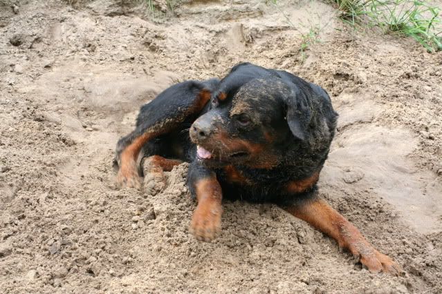 Rambo en Bronco Afbeelding029-20