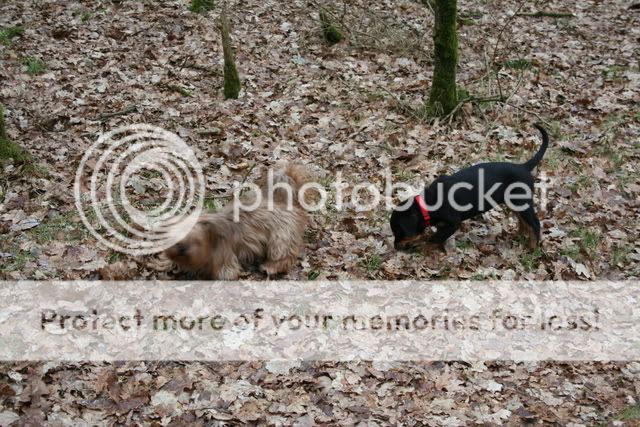 Gewandeld met Wodan, Bizou, Rambo en Sierra Afbeelding073