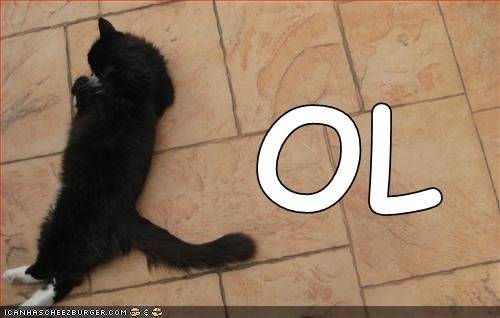 Offline photoshop boredom D; Lolcat