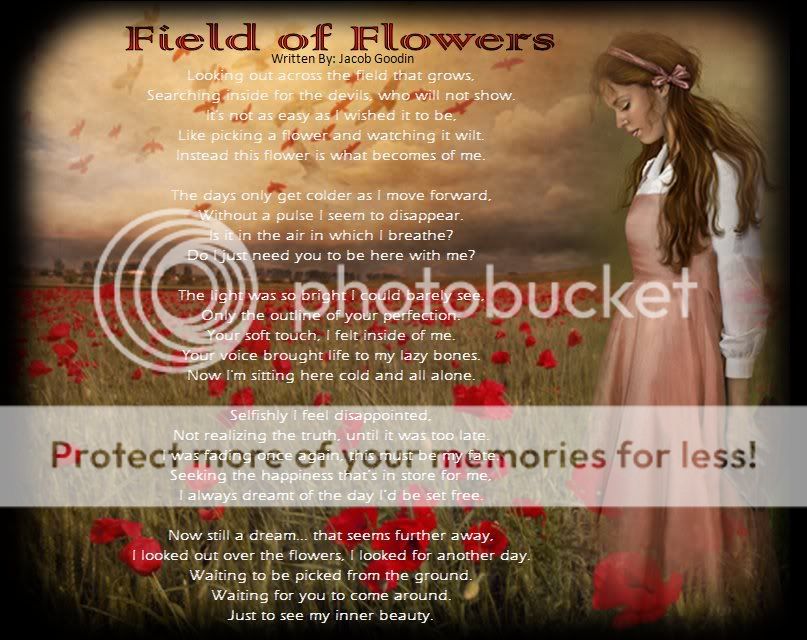 Field of Flowers Fflower