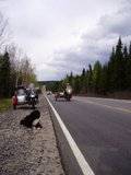 tundra - Rallye Tundra Run 2009 au Labrador Th_TundraRunLabrador2009043