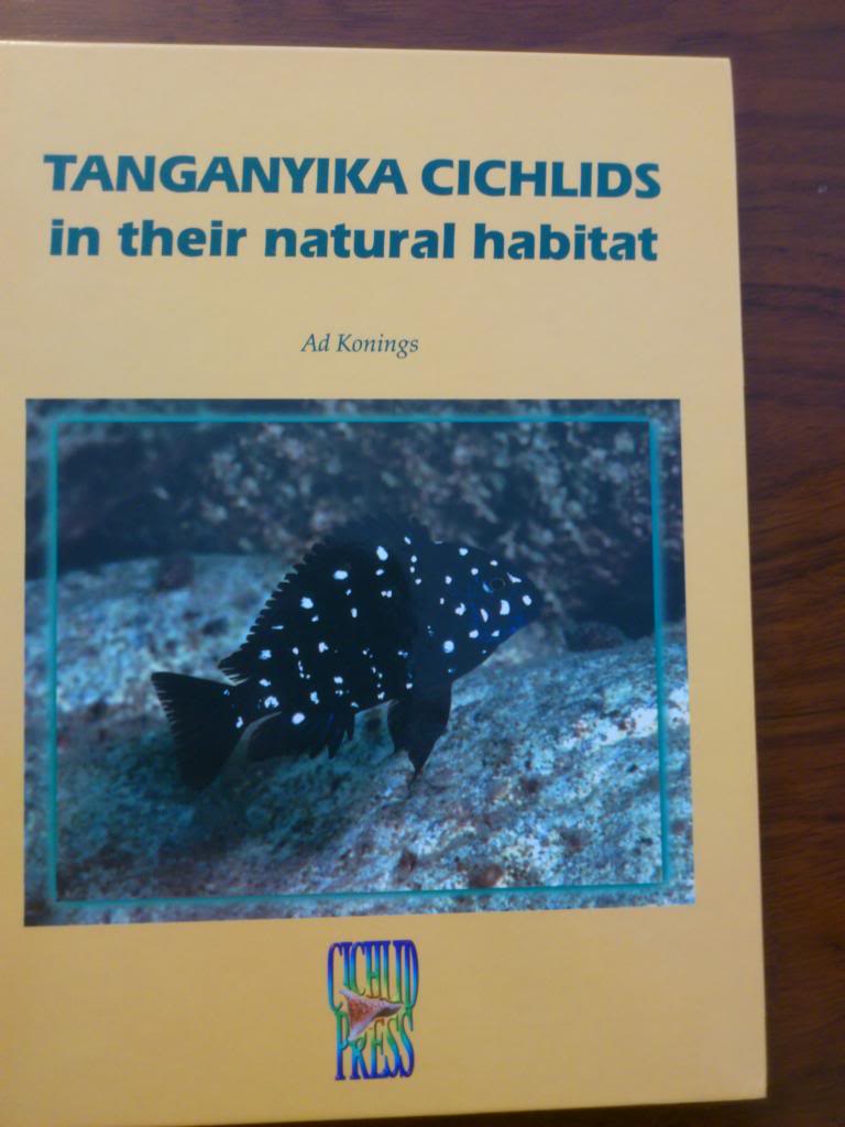 Tanganyika Cichlids in their natural habitat TanganyikaCichlids2