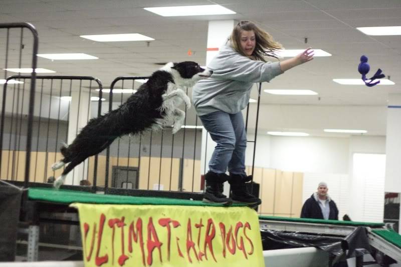 POLL - Macomb Adoption & Pet Expo, Roseville, MI Scout