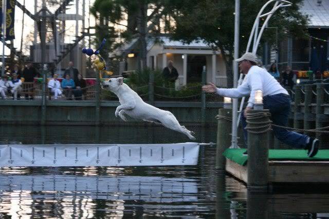 POLL - San Destin Resort, Destin, FL Rocky2